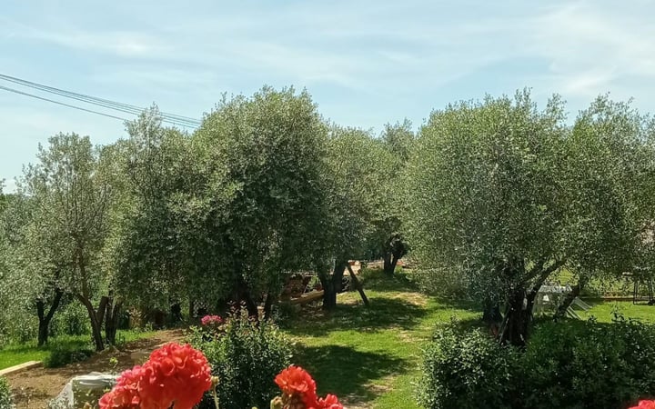 House in Citta della Pieve - view 1