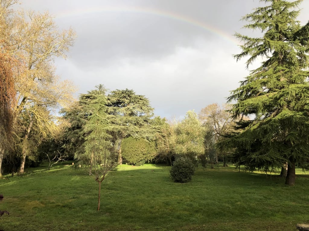 House in La Reole - Image 2