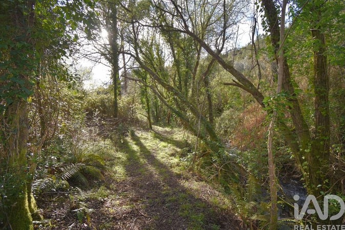 Land in Penela - view 1