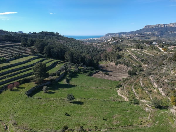 Land in Pedramala - view 1
