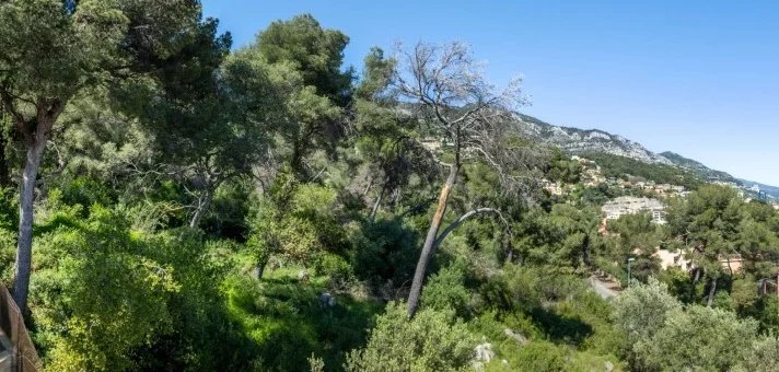Apartment in Beausoleil - view 1