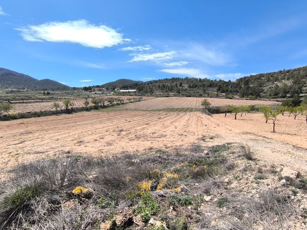 Land in La Zarza - Image 3