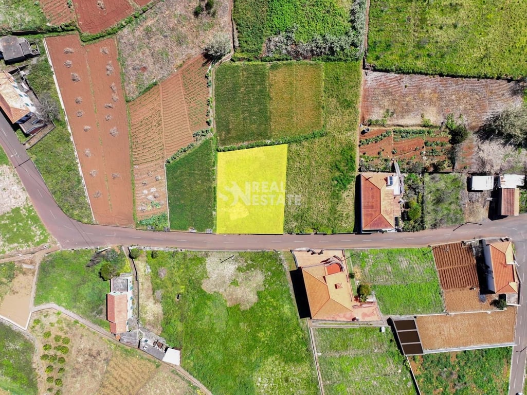 Land in Prazeres - Image 2