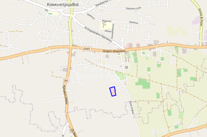 Land in Kokkinotrimithia - view 1