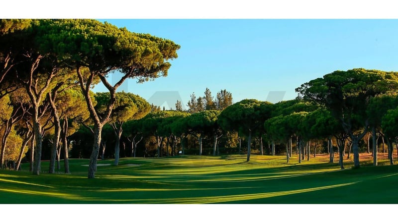 Villa in Faro - view 1