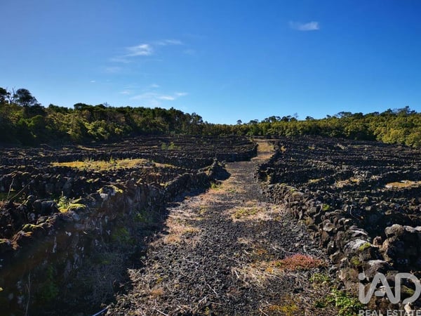 Land in Madalena - view 1