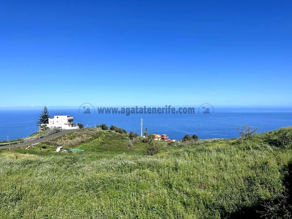 Land in Sauzal - view 1