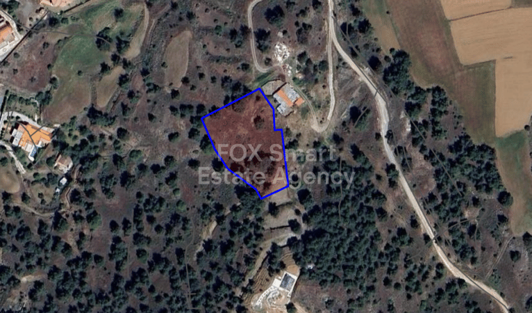 Land in Kalo Chorio (Oreinis) - view 1