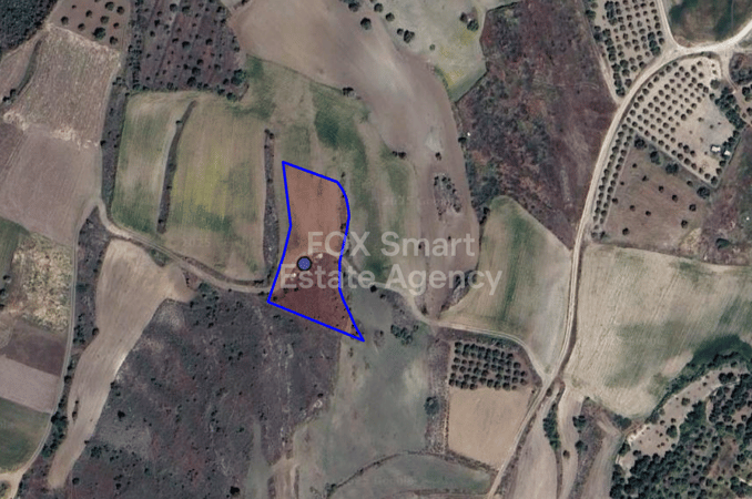 Land in Kalo Chorio (Oreinis) - view 1