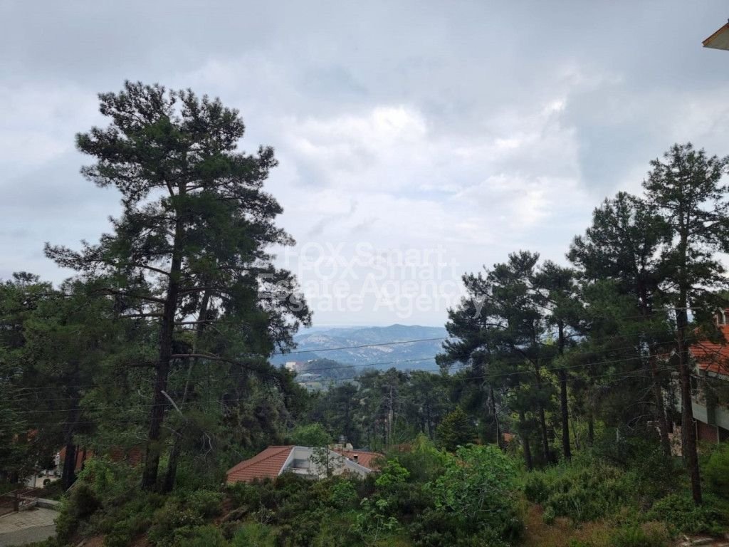 Land in Pano Platres - Image 2