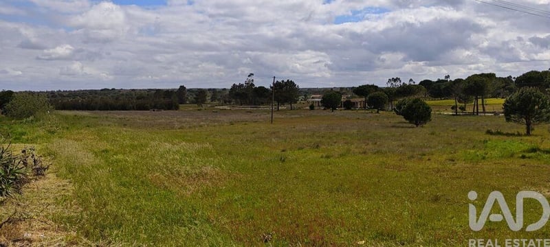 Land in Branca - view 1