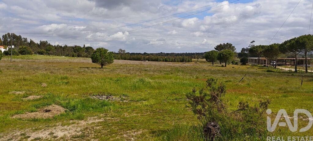 Land in Branca - Image 3