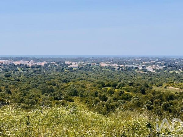 Land in Loule (Sao Clemente) - view 1