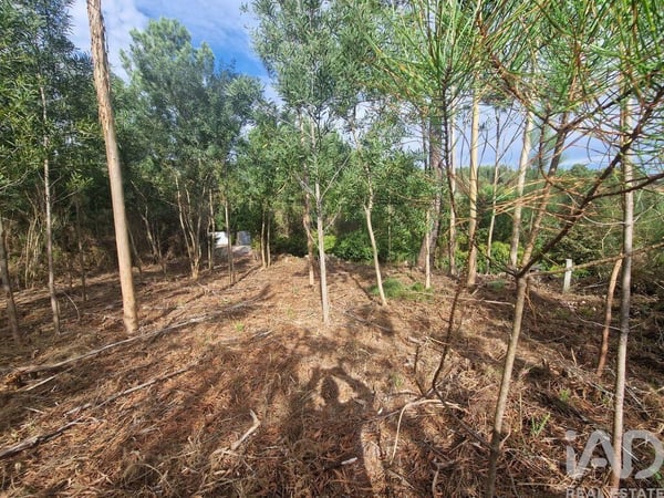 Land in Vilar de Murteda - view 1