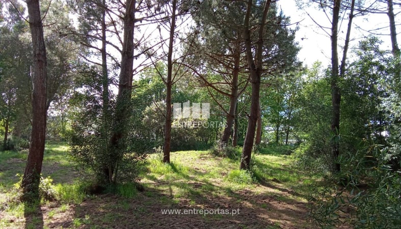 House in Caminha - view 1