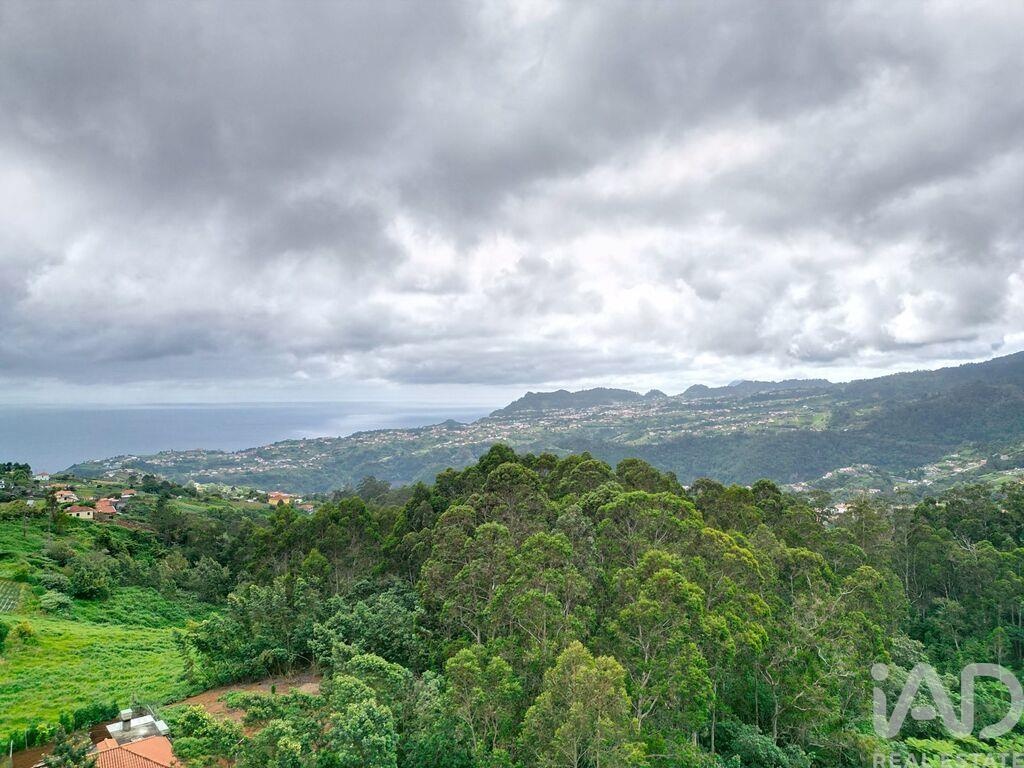 Land in Sao Jorge - Image 3