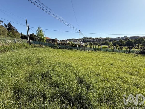 Land in Parada de Cunhos - view 1