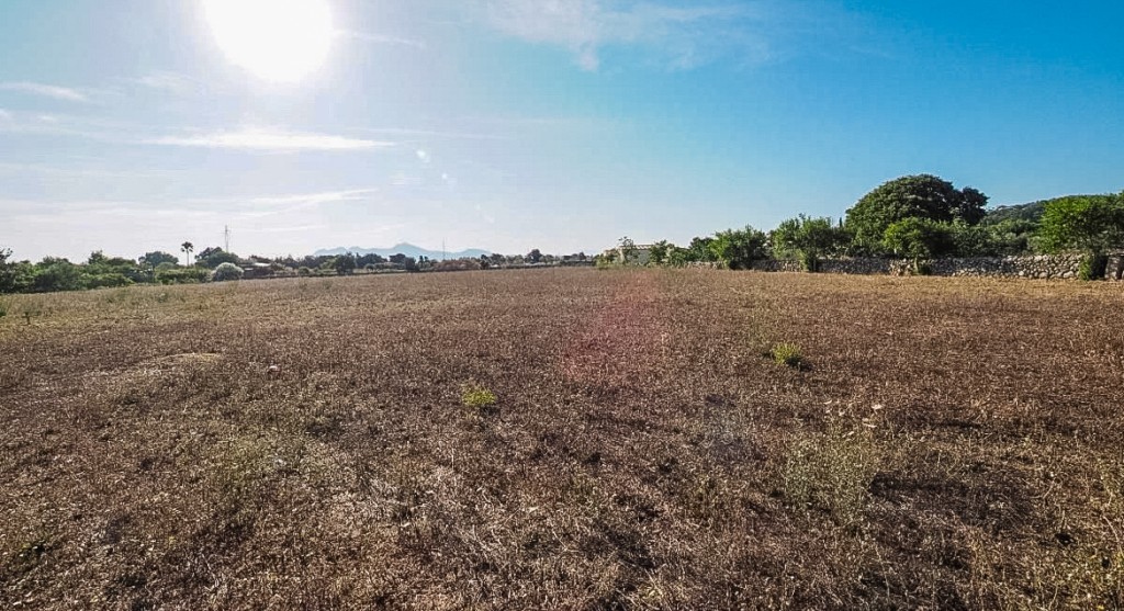 House in Port de Pollenca - Image 3