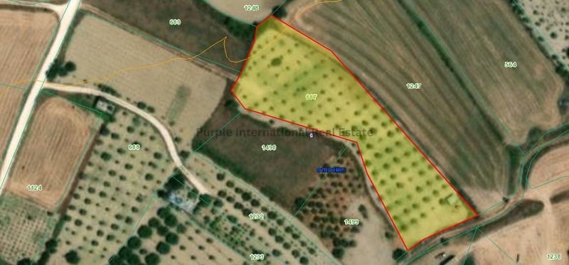 House in Stroumpi - view 1