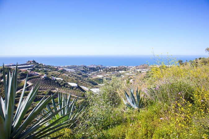 Land in Sayalonga - view 1