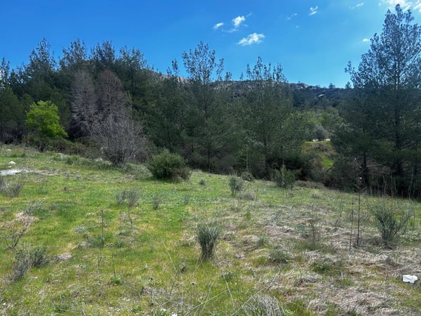 House in Trimiklini - view 1