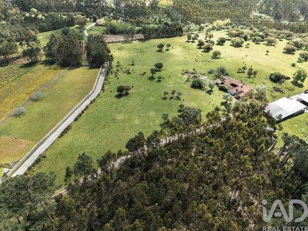 Land in Ortigosa - view 1