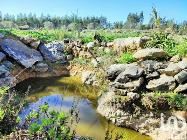 Land in Reguengo Grande - view 1