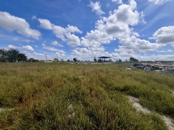 House in Catral - view 1