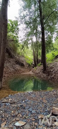 Land in Monchique - view 1