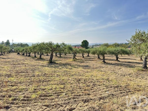 Land in Acores - view 1