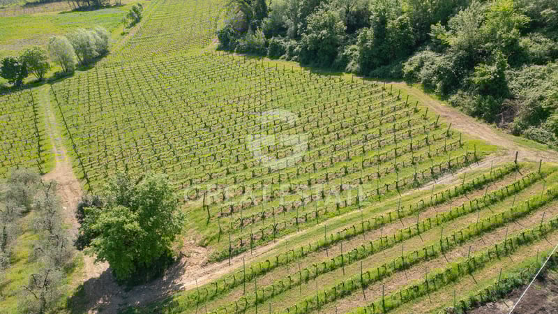 House in Barberino Tavarnelle - view 1