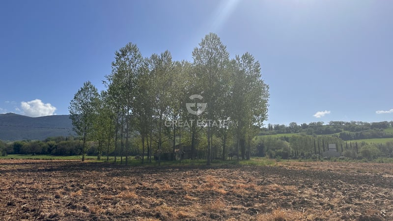 House in Raggio - view 1