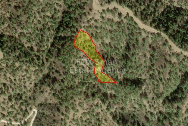 Land in Kaliana - view 1