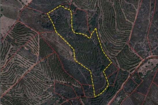 Land in Pereiro - view 1