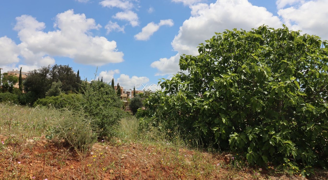 Land in Portimao - Image 5