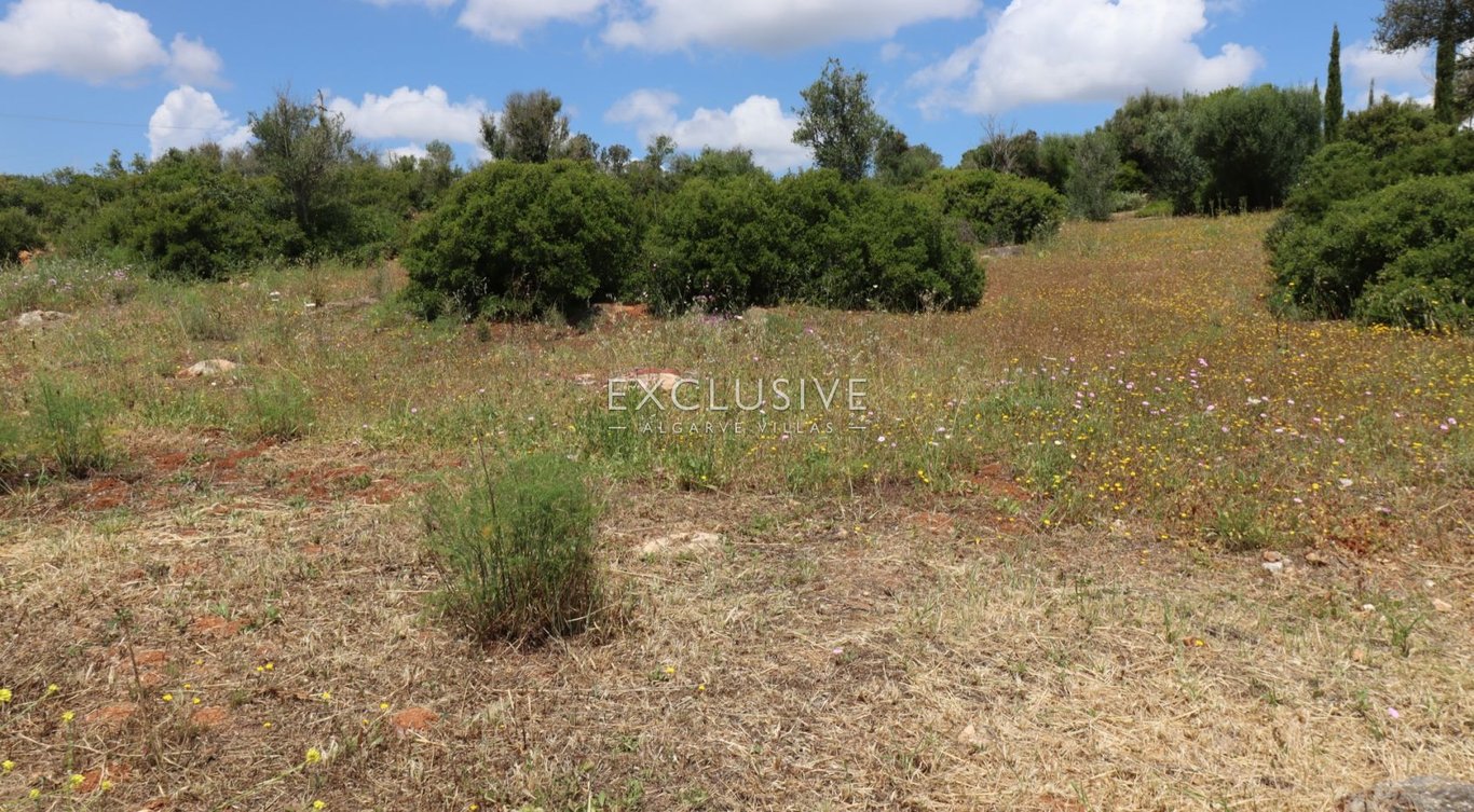 Land in Portimao - Image 2