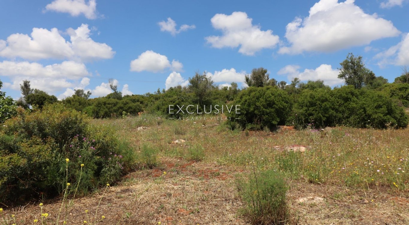 Land in Portimao - Image 3