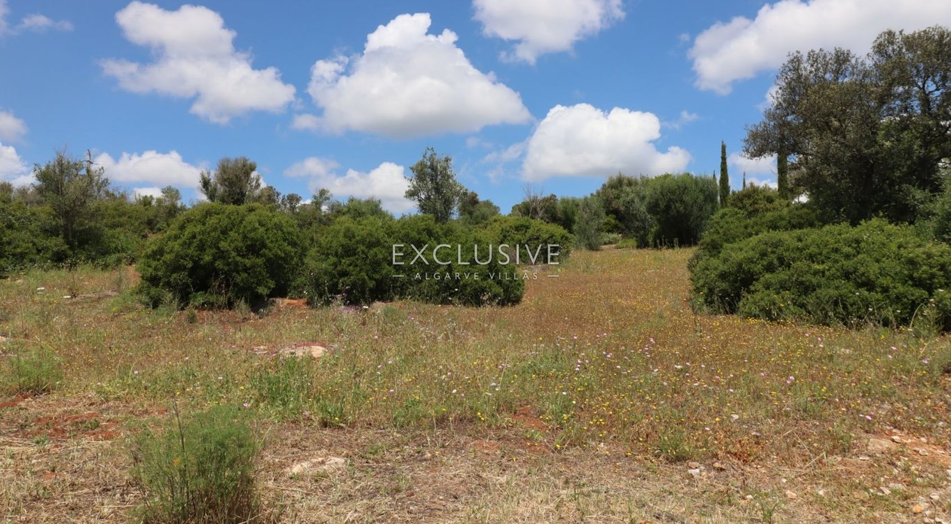 Land in Portimao - Image 4