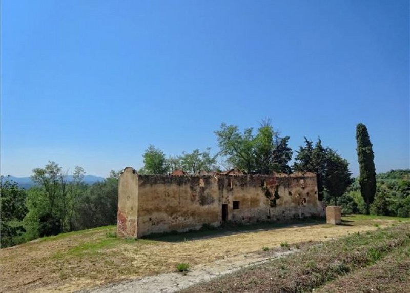 House in Palaia - Image 5