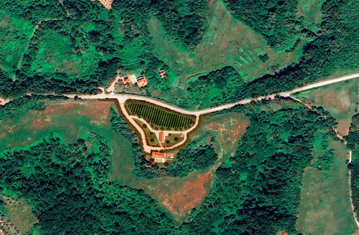 House in Palaia - Image 3