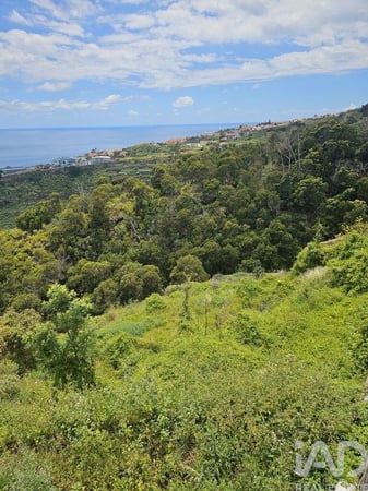 Land in Gaula - view 1