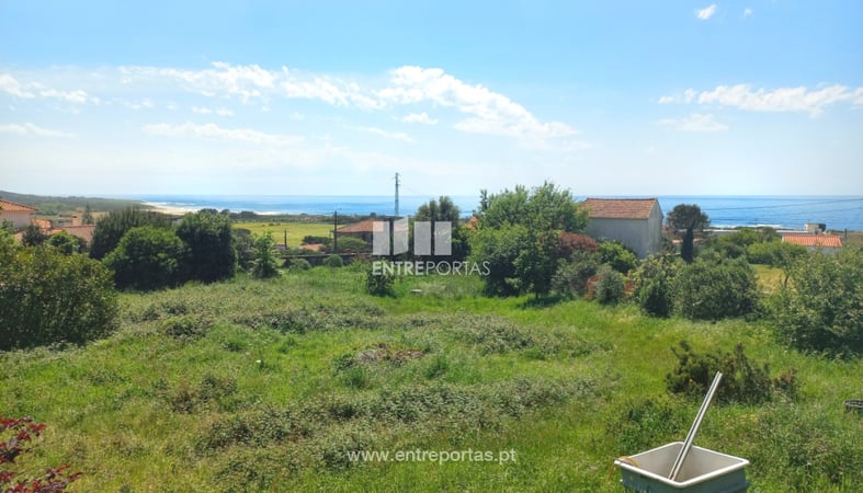 House in Afife - view 1