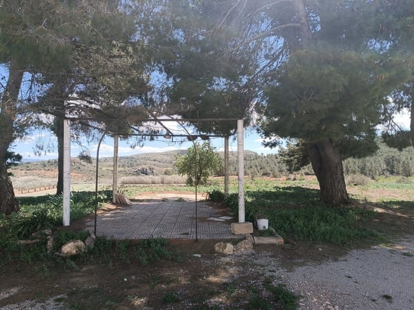 House in Yecla - view 1