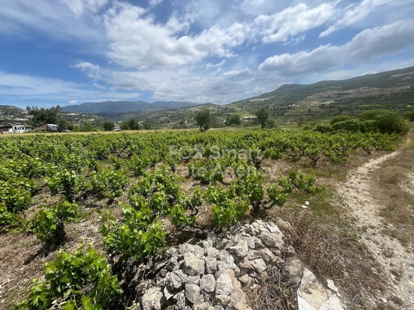 Land in Limassol - view 1