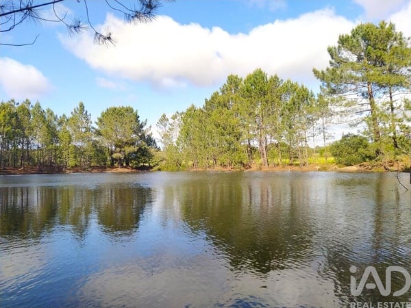 Land in Faro - view 1