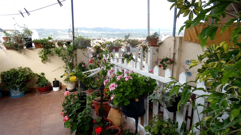House in Caleta de Velez - view 1
