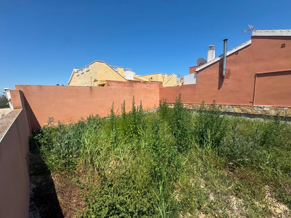 Land in Daya Nueva - view 1