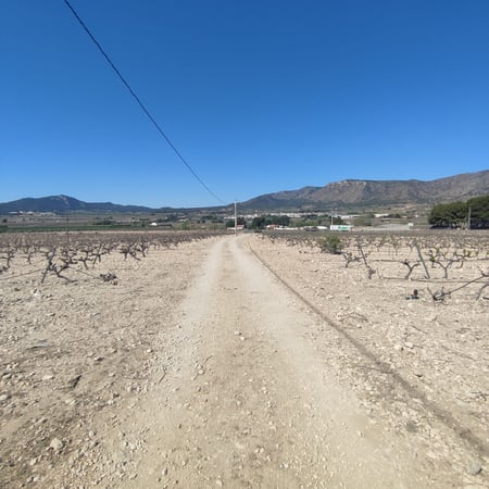 Land in Salinas - view 1