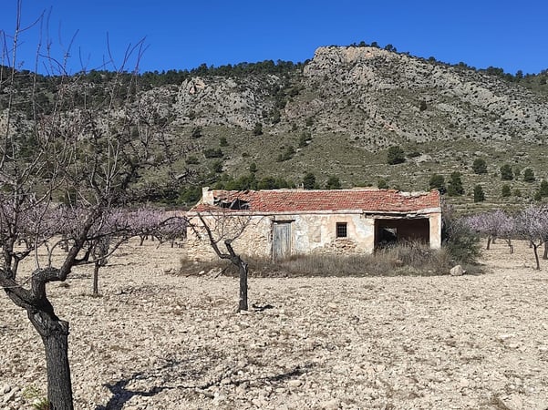 Land in Salinas - view 1