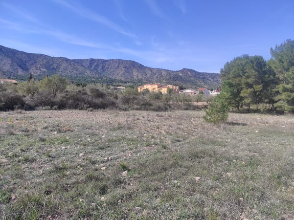 Land in Salinas - view 1